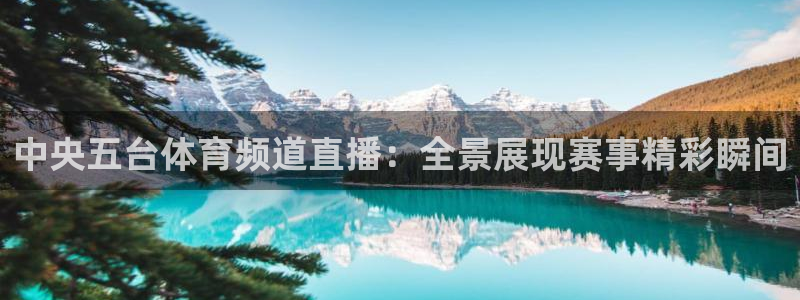 中央五台体育频道直播：全景展现赛事精彩瞬间