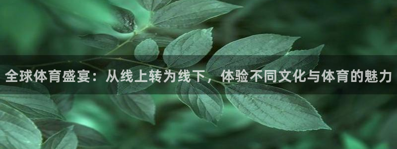 全球体育盛宴：从线上转为线下，体验不同文化与体育的魅力