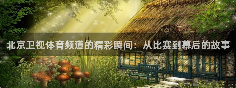 北京卫视体育频道的精彩瞬间：从比赛到幕后的故事