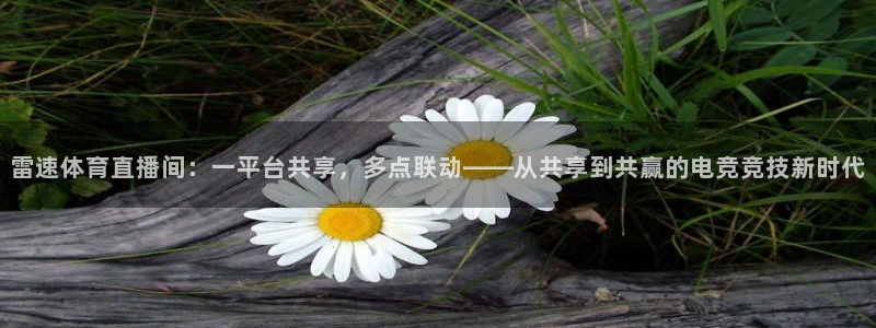 雷速体育直播间：一平台共享，多点联动——从共享到共赢的电竞竞技新时代