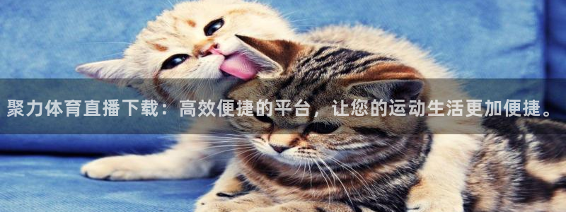 聚力体育直播下载：高效便捷的平台，让您的运动生活更加便捷。