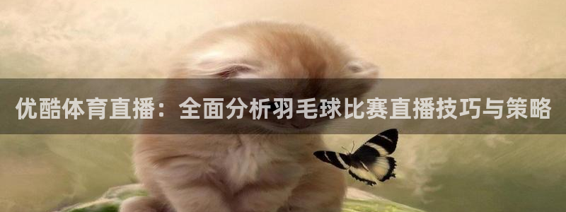 优酷体育直播：全面分析羽毛球比赛直播技巧与策略