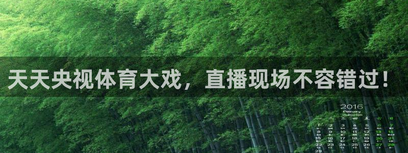 天天央视体育大戏，直播现场不容错过！
