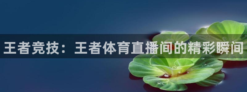 王者竞技：王者体育直播间的精彩瞬间