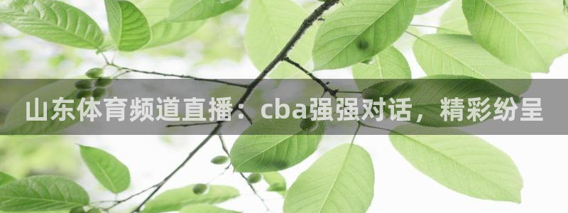 山东体育频道直播：cba强强对话，精彩纷呈