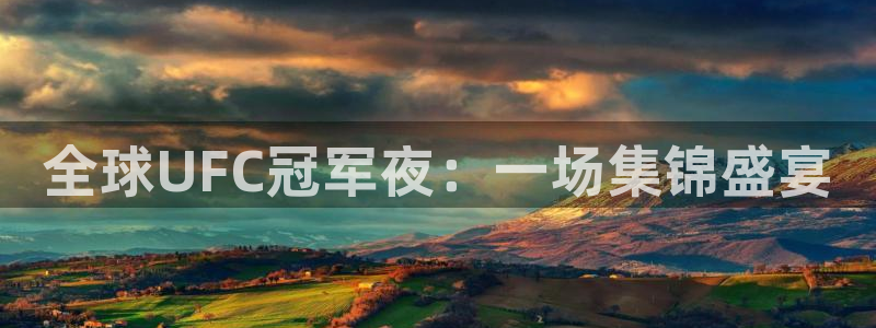全球UFC冠军夜：一场集锦盛宴