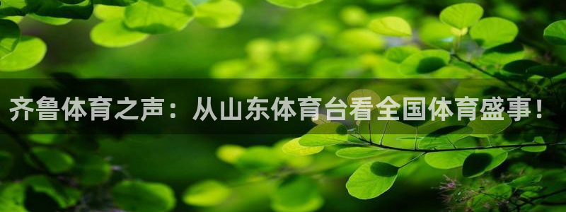 齐鲁体育之声：从山东体育台看全国体育盛事！